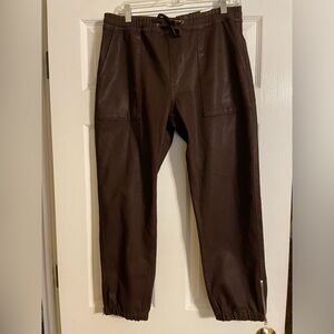 Hudson Chocolate Coated Joggers NWOT!